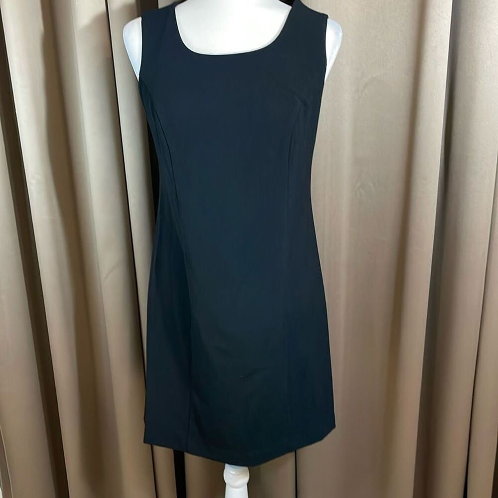 NWT Briggs New York Black Dress Size 10p